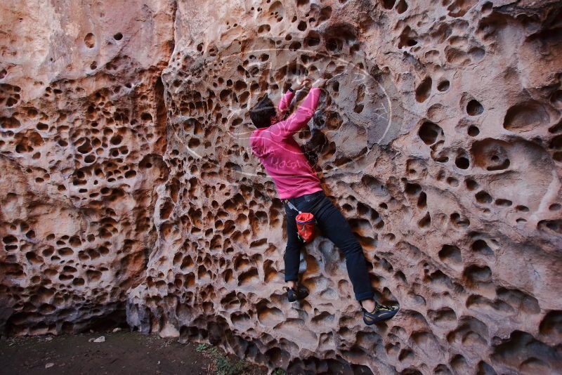 Bouldering in Hueco Tanks on 12/30/2019 with Blue Lizard Climbing and Yoga

Filename: SRM_20191230_1504360.jpg
Aperture: f/3.5
Shutter Speed: 1/100
Body: Canon EOS-1D Mark II
Lens: Canon EF 16-35mm f/2.8 L