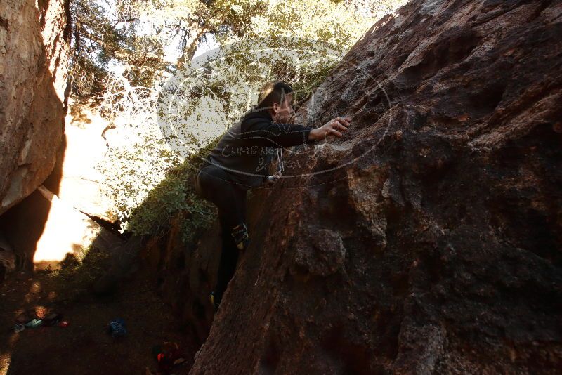 Bouldering in Hueco Tanks on 12/30/2019 with Blue Lizard Climbing and Yoga
Filename: SRM_20191230_1634570.jpg
Aperture: f/9.0
Shutter Speed: 1/200
Body: Canon EOS-1D Mark II
Lens: Canon EF 16-35mm f/2.8 L