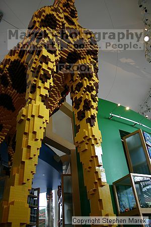 

Filename: img_4423_std.jpg
Aperture: f/3.5
Shutter Speed: 1/40
Body: Canon EOS DIGITAL REBEL
Lens: Canon EF-S 18-55mm f/3.5-5.6