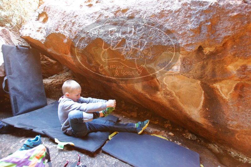 Bouldering in Hueco Tanks on 12/31/2019 with Blue Lizard Climbing and Yoga

Filename: SRM_20191231_1220250.jpg
Aperture: f/2.8
Shutter Speed: 1/80
Body: Canon EOS-1D Mark II
Lens: Canon EF 16-35mm f/2.8 L