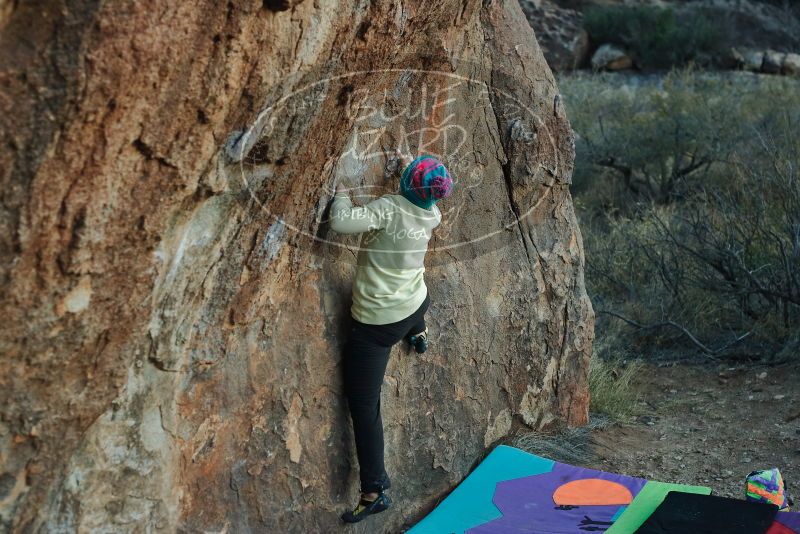 Bouldering in Hueco Tanks on 12/31/2019 with Blue Lizard Climbing and Yoga

Filename: SRM_20191231_1813350.jpg
Aperture: f/3.5
Shutter Speed: 1/250
Body: Canon EOS-1D Mark II
Lens: Canon EF 50mm f/1.8 II