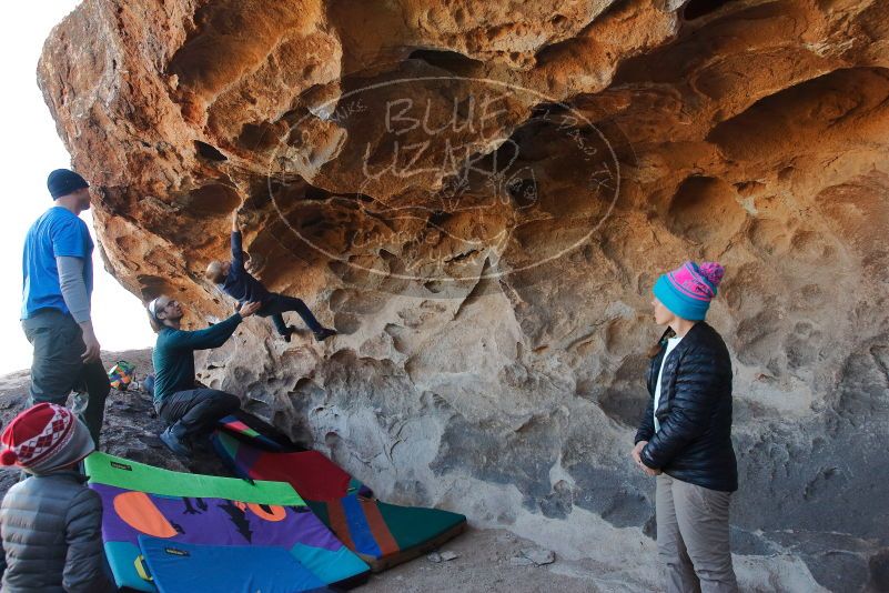 Bouldering in Hueco Tanks on 01/01/2020 with Blue Lizard Climbing and Yoga
Filename: SRM_20200101_1456130.jpg
Aperture: f/5.6
Shutter Speed: 1/250
Body: Canon EOS-1D Mark II
Lens: Canon EF 16-35mm f/2.8 L