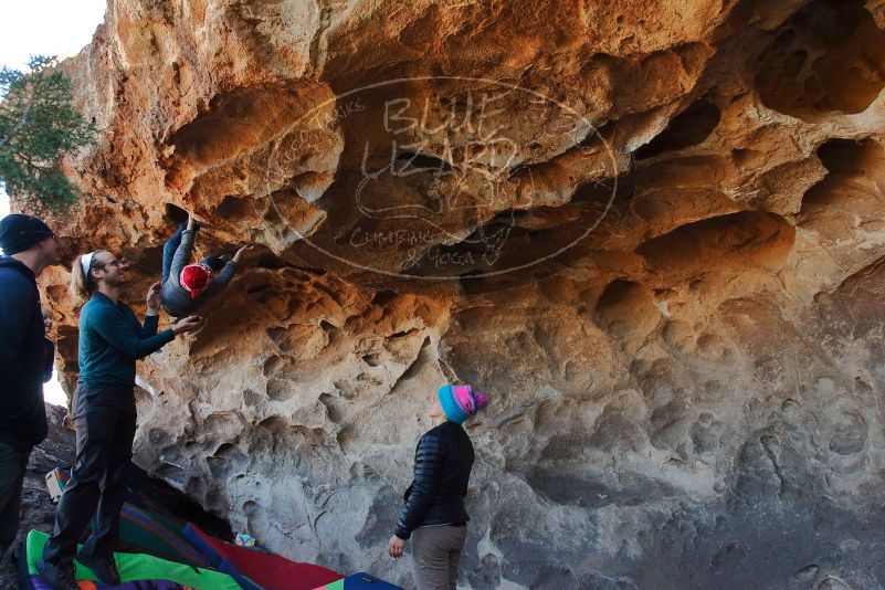 Bouldering in Hueco Tanks on 01/01/2020 with Blue Lizard Climbing and Yoga
Filename: SRM_20200101_1518050.jpg
Aperture: f/5.6
Shutter Speed: 1/250
Body: Canon EOS-1D Mark II
Lens: Canon EF 16-35mm f/2.8 L