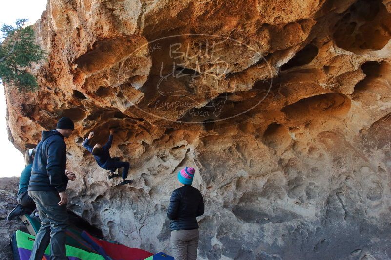 Bouldering in Hueco Tanks on 01/01/2020 with Blue Lizard Climbing and Yoga
Filename: SRM_20200101_1521030.jpg
Aperture: f/5.6
Shutter Speed: 1/250
Body: Canon EOS-1D Mark II
Lens: Canon EF 16-35mm f/2.8 L