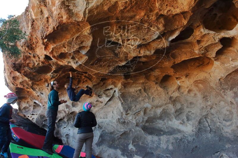 Bouldering in Hueco Tanks on 01/01/2020 with Blue Lizard Climbing and Yoga
Filename: SRM_20200101_1528580.jpg
Aperture: f/5.6
Shutter Speed: 1/250
Body: Canon EOS-1D Mark II
Lens: Canon EF 16-35mm f/2.8 L