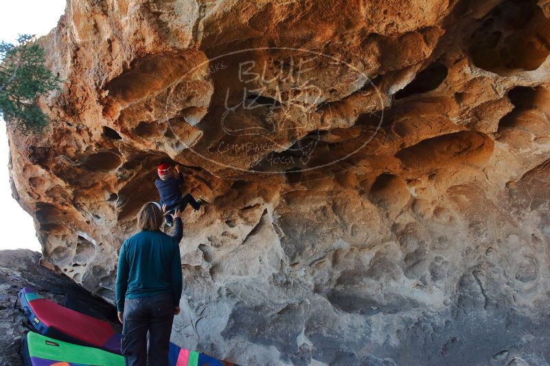 Bouldering in Hueco Tanks on 01/01/2020 with Blue Lizard Climbing and Yoga
Filename: SRM_20200101_1532480.jpg
Aperture: f/5.6
Shutter Speed: 1/250
Body: Canon EOS-1D Mark II
Lens: Canon EF 16-35mm f/2.8 L