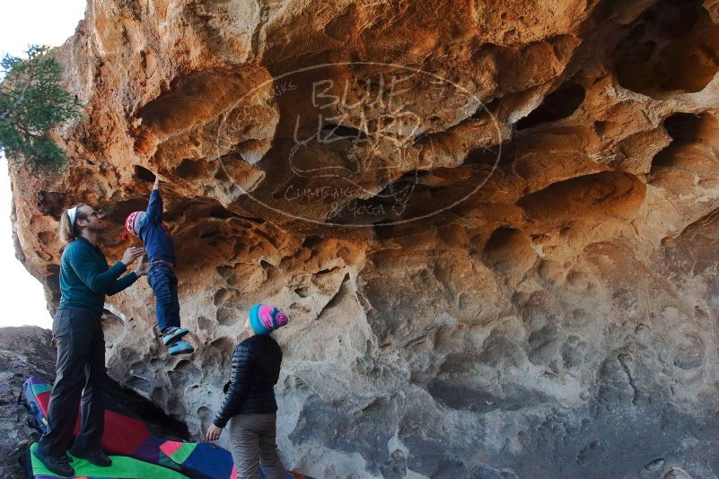 Bouldering in Hueco Tanks on 01/01/2020 with Blue Lizard Climbing and Yoga
Filename: SRM_20200101_1533100.jpg
Aperture: f/5.6
Shutter Speed: 1/250
Body: Canon EOS-1D Mark II
Lens: Canon EF 16-35mm f/2.8 L