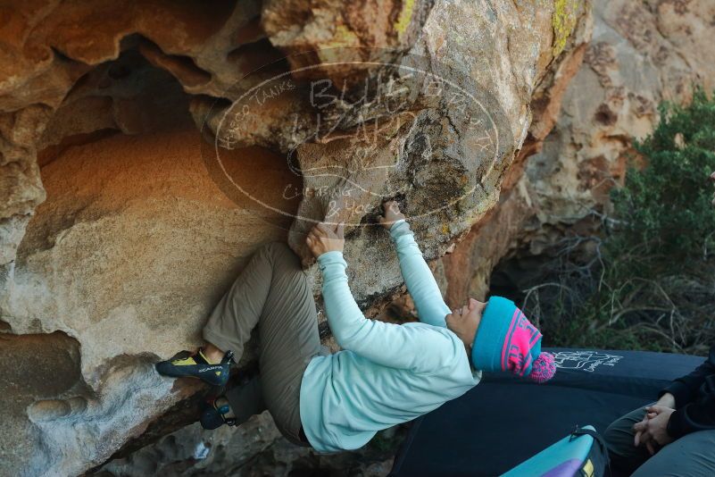 Bouldering in Hueco Tanks on 01/01/2020 with Blue Lizard Climbing and Yoga
Filename: SRM_20200101_1619500.jpg
Aperture: f/4.5
Shutter Speed: 1/320
Body: Canon EOS-1D Mark II
Lens: Canon EF 50mm f/1.8 II