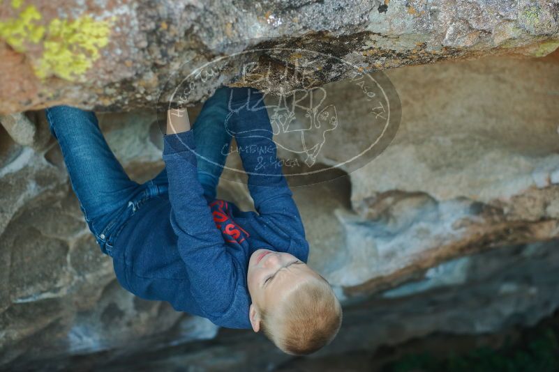 Bouldering in Hueco Tanks on 01/01/2020 with Blue Lizard Climbing and Yoga
Filename: SRM_20200101_1638120.jpg
Aperture: f/2.8
Shutter Speed: 1/250
Body: Canon EOS-1D Mark II
Lens: Canon EF 50mm f/1.8 II
