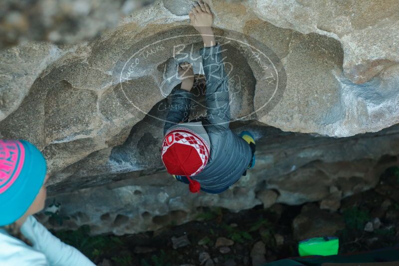 Bouldering in Hueco Tanks on 01/01/2020 with Blue Lizard Climbing and Yoga

Filename: SRM_20200101_1640450.jpg
Aperture: f/3.2
Shutter Speed: 1/250
Body: Canon EOS-1D Mark II
Lens: Canon EF 50mm f/1.8 II