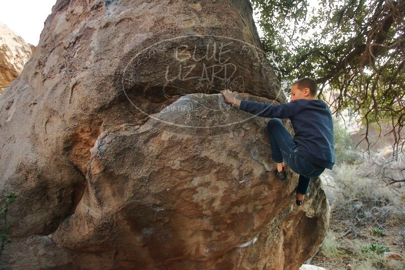 Bouldering in Hueco Tanks on 01/01/2020 with Blue Lizard Climbing and Yoga

Filename: SRM_20200101_1737070.jpg
Aperture: f/3.5
Shutter Speed: 1/250
Body: Canon EOS-1D Mark II
Lens: Canon EF 16-35mm f/2.8 L