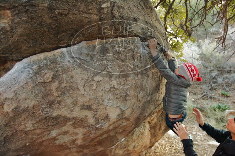 Bouldering in Hueco Tanks on 01/01/2020 with Blue Lizard Climbing and Yoga
Filename: SRM_20200101_1741020.jpg
Aperture: f/3.2
Shutter Speed: 1/250
Body: Canon EOS-1D Mark II
Lens: Canon EF 16-35mm f/2.8 L