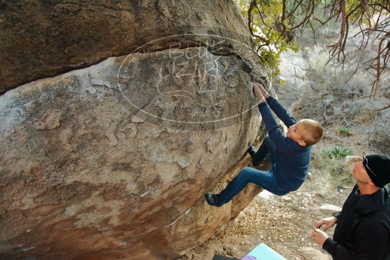 Bouldering in Hueco Tanks on 01/01/2020 with Blue Lizard Climbing and Yoga
Filename: SRM_20200101_1741520.jpg
Aperture: f/3.2
Shutter Speed: 1/250
Body: Canon EOS-1D Mark II
Lens: Canon EF 16-35mm f/2.8 L