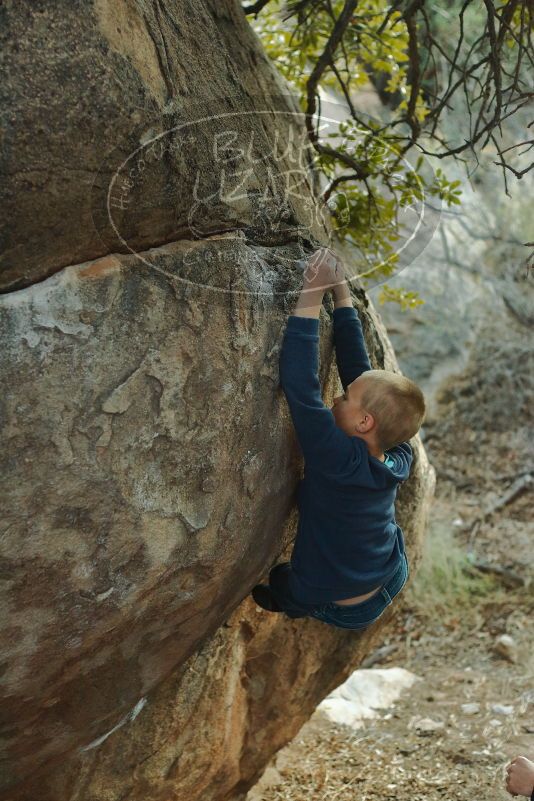 Bouldering in Hueco Tanks on 01/01/2020 with Blue Lizard Climbing and Yoga

Filename: SRM_20200101_1753110.jpg
Aperture: f/3.2
Shutter Speed: 1/200
Body: Canon EOS-1D Mark II
Lens: Canon EF 50mm f/1.8 II