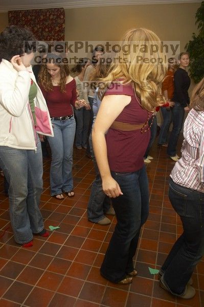 Emily Skipper dancing at the Alpha Delta Pi Christmas party, Sunday, December 10, 2006.
Filename: SRM_20061210_1821502.jpg
Aperture: f/5.0
Shutter Speed: 1/100
Body: Canon EOS 20D
Lens: Canon EF-S 18-55mm f/3.5-5.6