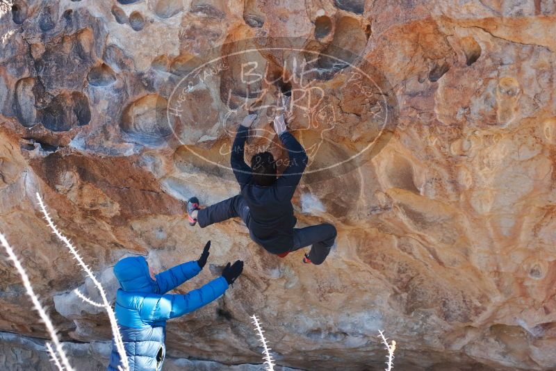 Bouldering in Hueco Tanks on 01/03/2020 with Blue Lizard Climbing and Yoga

Filename: SRM_20200103_1247070.jpg
Aperture: f/3.5
Shutter Speed: 1/500
Body: Canon EOS-1D Mark II
Lens: Canon EF 50mm f/1.8 II