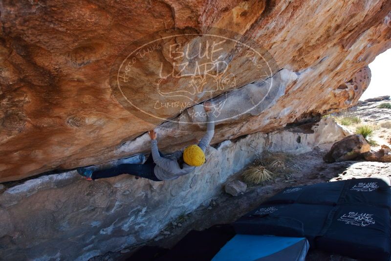 Bouldering in Hueco Tanks on 01/03/2020 with Blue Lizard Climbing and Yoga
Filename: SRM_20200103_1303480.jpg
Aperture: f/5.6
Shutter Speed: 1/320
Body: Canon EOS-1D Mark II
Lens: Canon EF 16-35mm f/2.8 L