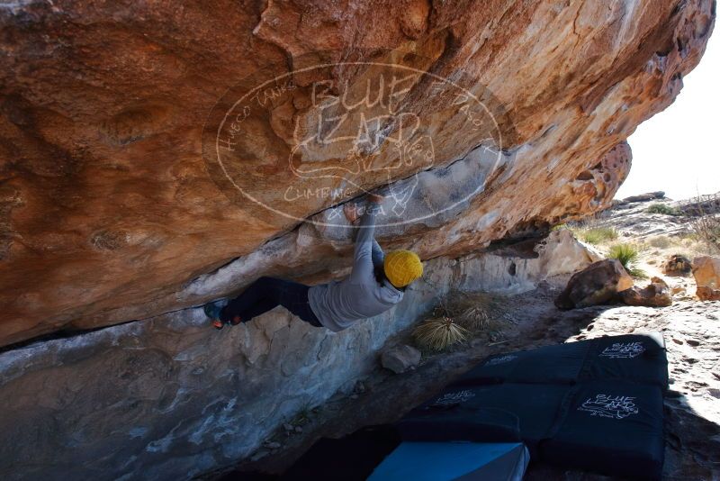 Bouldering in Hueco Tanks on 01/03/2020 with Blue Lizard Climbing and Yoga

Filename: SRM_20200103_1303500.jpg
Aperture: f/6.3
Shutter Speed: 1/320
Body: Canon EOS-1D Mark II
Lens: Canon EF 16-35mm f/2.8 L
