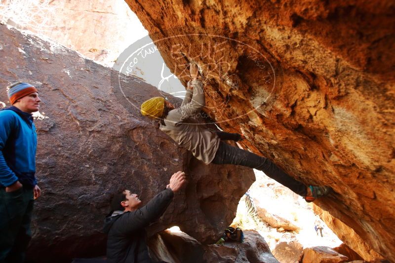 Bouldering in Hueco Tanks on 01/03/2020 with Blue Lizard Climbing and Yoga
Filename: SRM_20200103_1553350.jpg
Aperture: f/4.0
Shutter Speed: 1/250
Body: Canon EOS-1D Mark II
Lens: Canon EF 16-35mm f/2.8 L