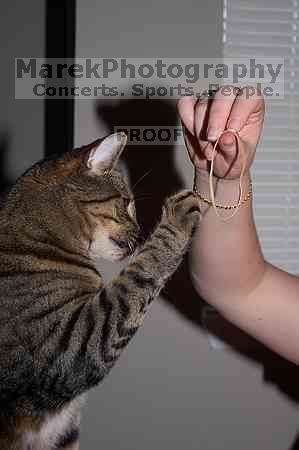 1020409145

Filename: SRM_20050826_192844_8.jpg
Aperture: f/5.6
Shutter Speed: 1/160
Body: Canon EOS 20D
Lens: Canon EF-S 18-55mm f/3.5-5.6