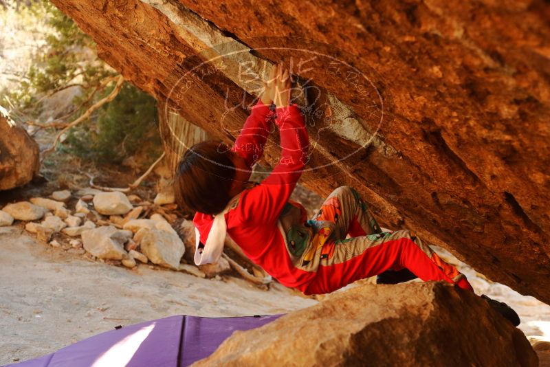 Bouldering in Hueco Tanks on 01/03/2020 with Blue Lizard Climbing and Yoga
Filename: SRM_20200103_1728460.jpg
Aperture: f/3.5
Shutter Speed: 1/320
Body: Canon EOS-1D Mark II
Lens: Canon EF 50mm f/1.8 II