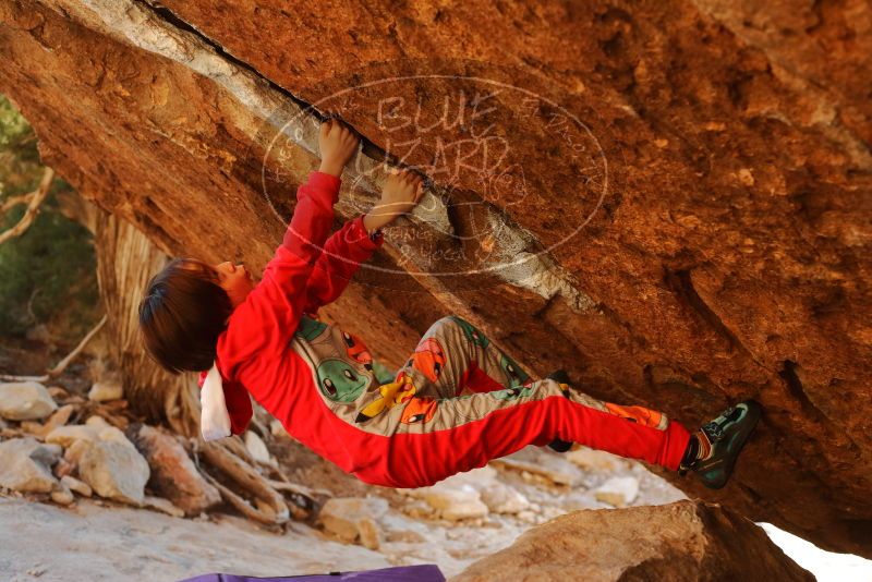 Bouldering in Hueco Tanks on 01/03/2020 with Blue Lizard Climbing and Yoga

Filename: SRM_20200103_1728590.jpg
Aperture: f/3.5
Shutter Speed: 1/320
Body: Canon EOS-1D Mark II
Lens: Canon EF 50mm f/1.8 II