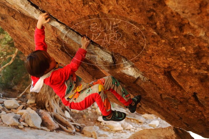 Bouldering in Hueco Tanks on 01/03/2020 with Blue Lizard Climbing and Yoga
Filename: SRM_20200103_1728591.jpg
Aperture: f/3.5
Shutter Speed: 1/320
Body: Canon EOS-1D Mark II
Lens: Canon EF 50mm f/1.8 II