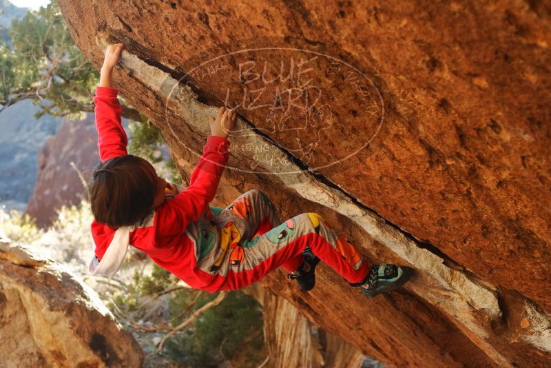 Bouldering in Hueco Tanks on 01/03/2020 with Blue Lizard Climbing and Yoga
Filename: SRM_20200103_1729080.jpg
Aperture: f/3.5
Shutter Speed: 1/320
Body: Canon EOS-1D Mark II
Lens: Canon EF 50mm f/1.8 II