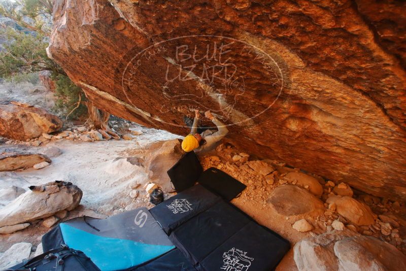 Bouldering in Hueco Tanks on 01/03/2020 with Blue Lizard Climbing and Yoga

Filename: SRM_20200103_1756210.jpg
Aperture: f/4.5
Shutter Speed: 1/250
Body: Canon EOS-1D Mark II
Lens: Canon EF 16-35mm f/2.8 L