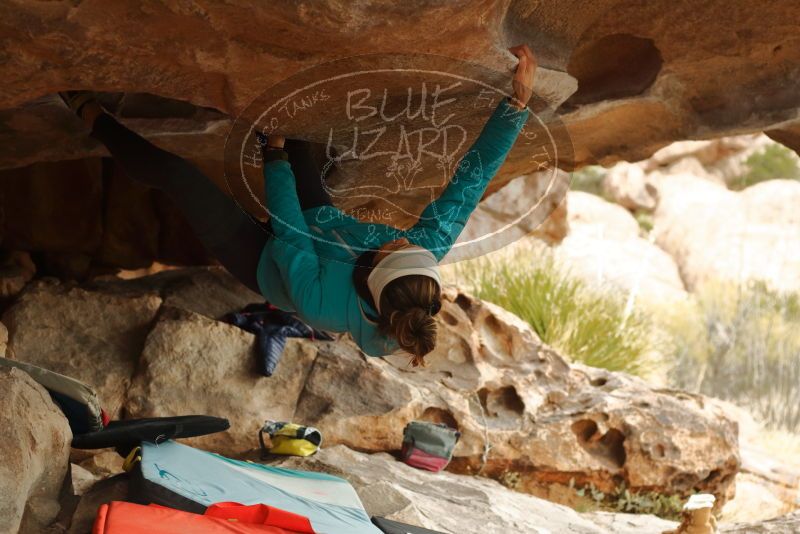 Bouldering in Hueco Tanks on 01/02/2020 with Blue Lizard Climbing and Yoga
Filename: SRM_20200102_1121470.jpg
Aperture: f/3.2
Shutter Speed: 1/250
Body: Canon EOS-1D Mark II
Lens: Canon EF 50mm f/1.8 II