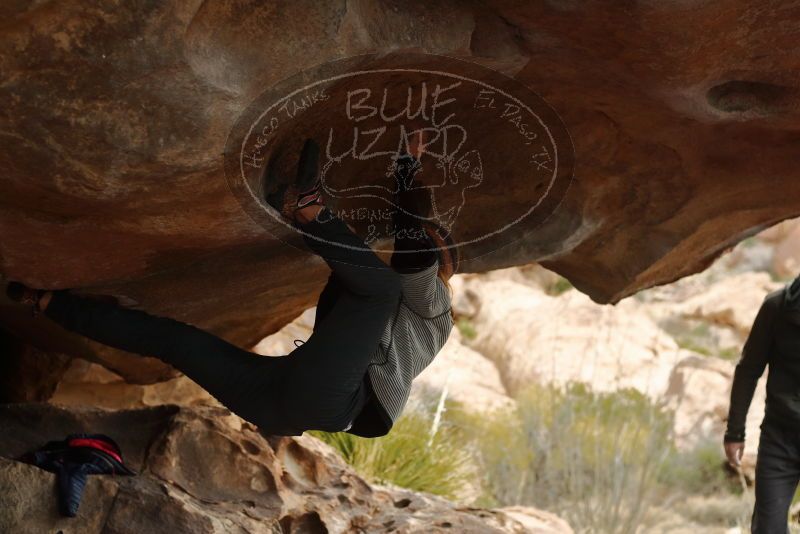 Bouldering in Hueco Tanks on 01/02/2020 with Blue Lizard Climbing and Yoga
Filename: SRM_20200102_1133330.jpg
Aperture: f/3.2
Shutter Speed: 1/250
Body: Canon EOS-1D Mark II
Lens: Canon EF 50mm f/1.8 II
