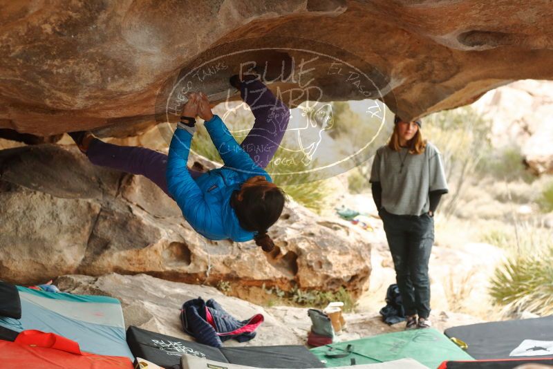 Bouldering in Hueco Tanks on 01/02/2020 with Blue Lizard Climbing and Yoga
Filename: SRM_20200102_1139190.jpg
Aperture: f/3.2
Shutter Speed: 1/250
Body: Canon EOS-1D Mark II
Lens: Canon EF 50mm f/1.8 II