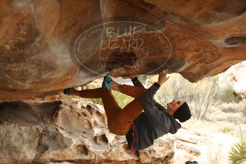 Bouldering in Hueco Tanks on 01/02/2020 with Blue Lizard Climbing and Yoga
Filename: SRM_20200102_1141430.jpg
Aperture: f/3.2
Shutter Speed: 1/250
Body: Canon EOS-1D Mark II
Lens: Canon EF 50mm f/1.8 II