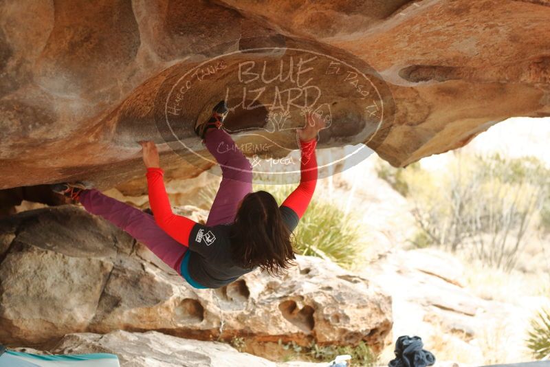 Bouldering in Hueco Tanks on 01/02/2020 with Blue Lizard Climbing and Yoga
Filename: SRM_20200102_1153311.jpg
Aperture: f/3.2
Shutter Speed: 1/250
Body: Canon EOS-1D Mark II
Lens: Canon EF 50mm f/1.8 II
