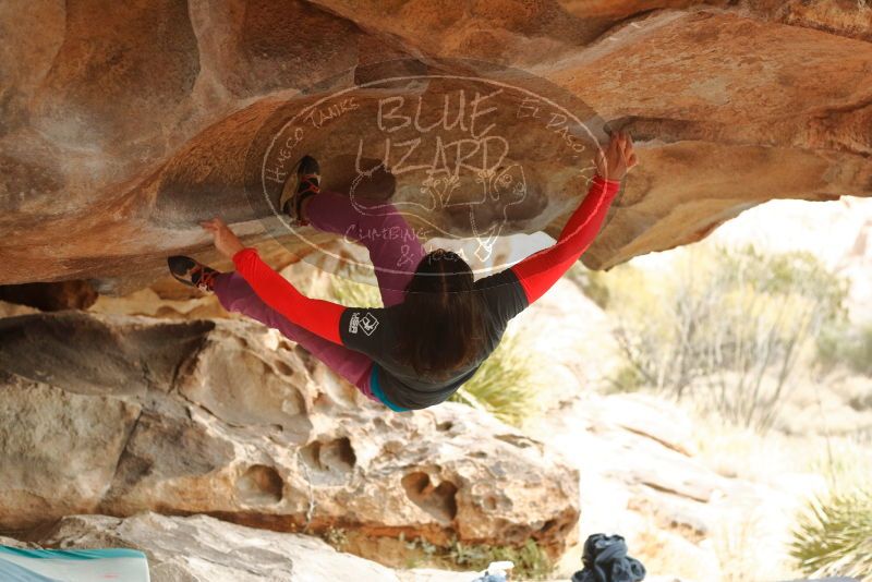 Bouldering in Hueco Tanks on 01/02/2020 with Blue Lizard Climbing and Yoga
Filename: SRM_20200102_1153361.jpg
Aperture: f/3.2
Shutter Speed: 1/250
Body: Canon EOS-1D Mark II
Lens: Canon EF 50mm f/1.8 II
