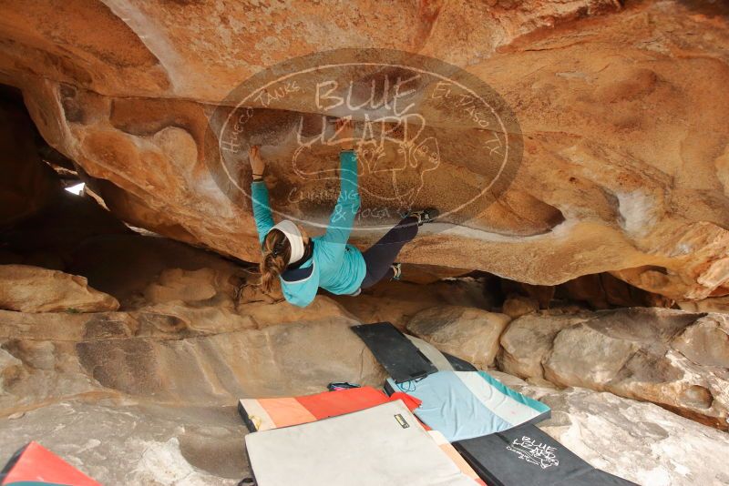 Bouldering in Hueco Tanks on 01/02/2020 with Blue Lizard Climbing and Yoga
Filename: SRM_20200102_1222040.jpg
Aperture: f/3.5
Shutter Speed: 1/250
Body: Canon EOS-1D Mark II
Lens: Canon EF 16-35mm f/2.8 L