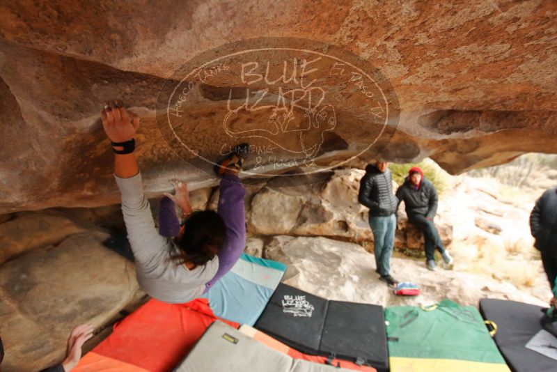 Bouldering in Hueco Tanks on 01/02/2020 with Blue Lizard Climbing and Yoga
Filename: SRM_20200102_1233180.jpg
Aperture: f/4.5
Shutter Speed: 1/250
Body: Canon EOS-1D Mark II
Lens: Canon EF 16-35mm f/2.8 L