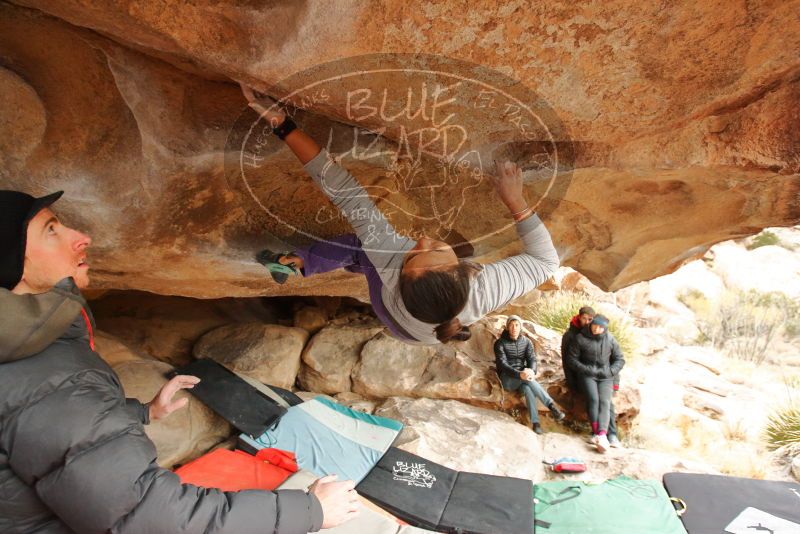 Bouldering in Hueco Tanks on 01/02/2020 with Blue Lizard Climbing and Yoga
Filename: SRM_20200102_1239530.jpg
Aperture: f/4.5
Shutter Speed: 1/250
Body: Canon EOS-1D Mark II
Lens: Canon EF 16-35mm f/2.8 L