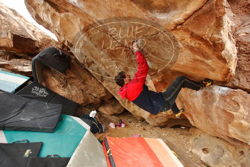 Bouldering in Hueco Tanks on 01/02/2020 with Blue Lizard Climbing and Yoga
Filename: SRM_20200102_1333560.jpg
Aperture: f/3.5
Shutter Speed: 1/250
Body: Canon EOS-1D Mark II
Lens: Canon EF 16-35mm f/2.8 L