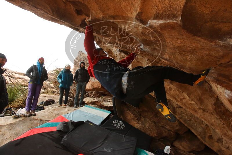 Bouldering in Hueco Tanks on 01/02/2020 with Blue Lizard Climbing and Yoga
Filename: SRM_20200102_1334150.jpg
Aperture: f/5.0
Shutter Speed: 1/250
Body: Canon EOS-1D Mark II
Lens: Canon EF 16-35mm f/2.8 L