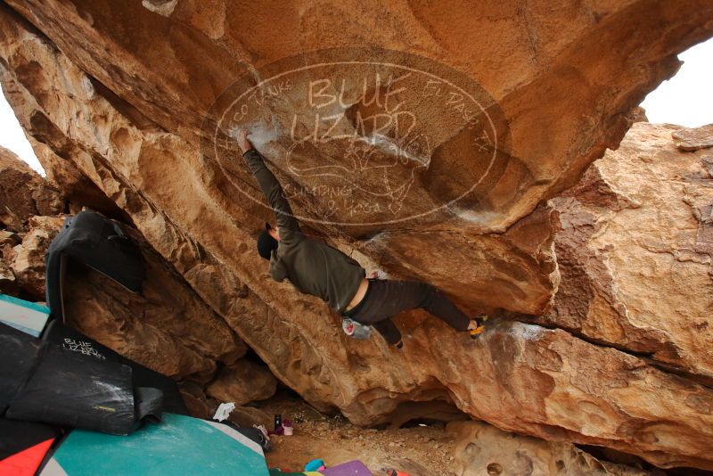Bouldering in Hueco Tanks on 01/02/2020 with Blue Lizard Climbing and Yoga
Filename: SRM_20200102_1342180.jpg
Aperture: f/4.0
Shutter Speed: 1/250
Body: Canon EOS-1D Mark II
Lens: Canon EF 16-35mm f/2.8 L