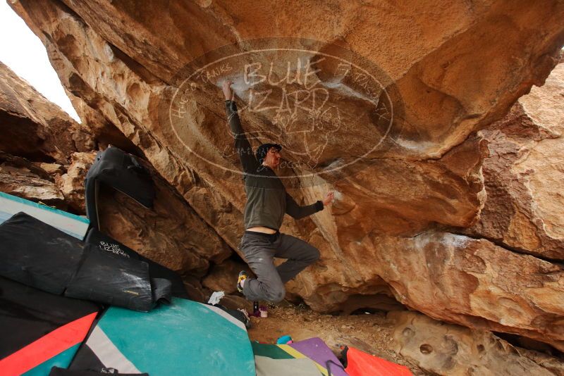 Bouldering in Hueco Tanks on 01/02/2020 with Blue Lizard Climbing and Yoga
Filename: SRM_20200102_1342190.jpg
Aperture: f/4.0
Shutter Speed: 1/250
Body: Canon EOS-1D Mark II
Lens: Canon EF 16-35mm f/2.8 L