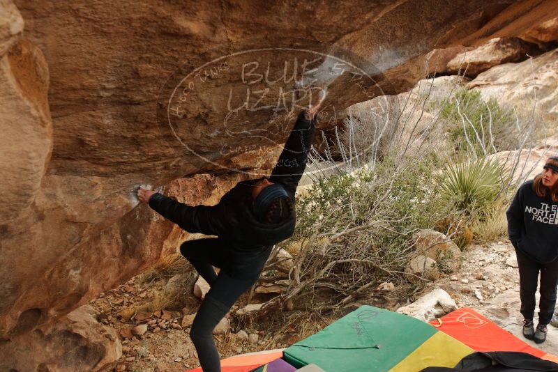 Bouldering in Hueco Tanks on 01/02/2020 with Blue Lizard Climbing and Yoga

Filename: SRM_20200102_1343250.jpg
Aperture: f/5.0
Shutter Speed: 1/250
Body: Canon EOS-1D Mark II
Lens: Canon EF 16-35mm f/2.8 L