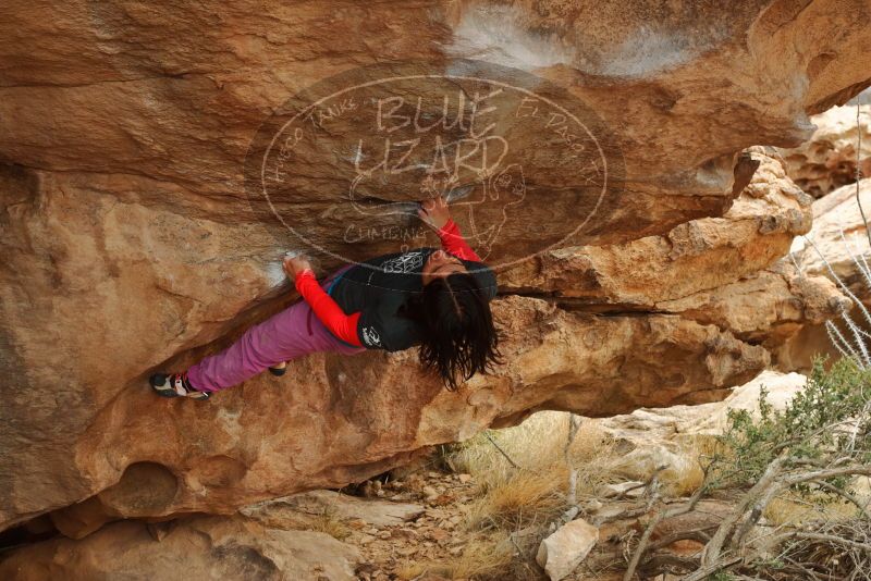 Bouldering in Hueco Tanks on 01/02/2020 with Blue Lizard Climbing and Yoga

Filename: SRM_20200102_1352560.jpg
Aperture: f/6.3
Shutter Speed: 1/200
Body: Canon EOS-1D Mark II
Lens: Canon EF 50mm f/1.8 II