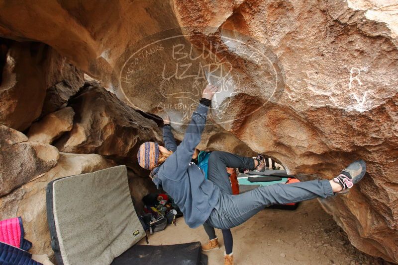 Bouldering in Hueco Tanks on 01/02/2020 with Blue Lizard Climbing and Yoga

Filename: SRM_20200102_1439210.jpg
Aperture: f/4.0
Shutter Speed: 1/250
Body: Canon EOS-1D Mark II
Lens: Canon EF 16-35mm f/2.8 L