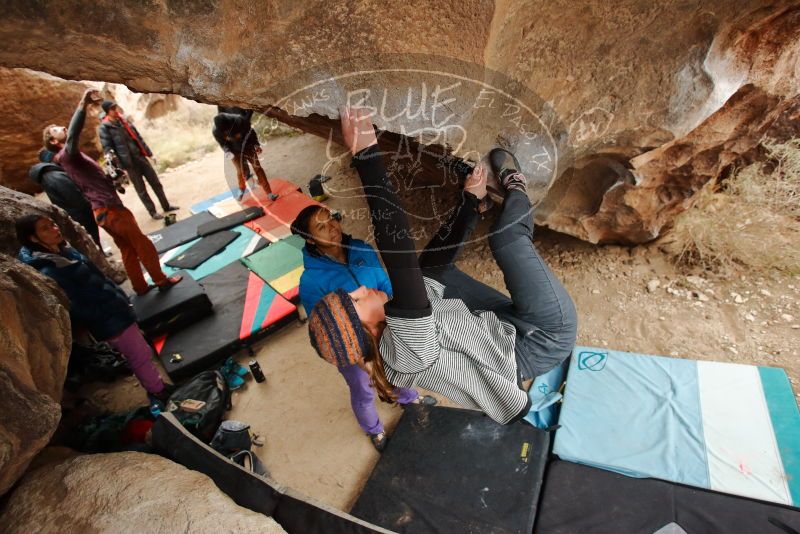 Bouldering in Hueco Tanks on 01/02/2020 with Blue Lizard Climbing and Yoga
Filename: SRM_20200102_1441150.jpg
Aperture: f/4.0
Shutter Speed: 1/250
Body: Canon EOS-1D Mark II
Lens: Canon EF 16-35mm f/2.8 L