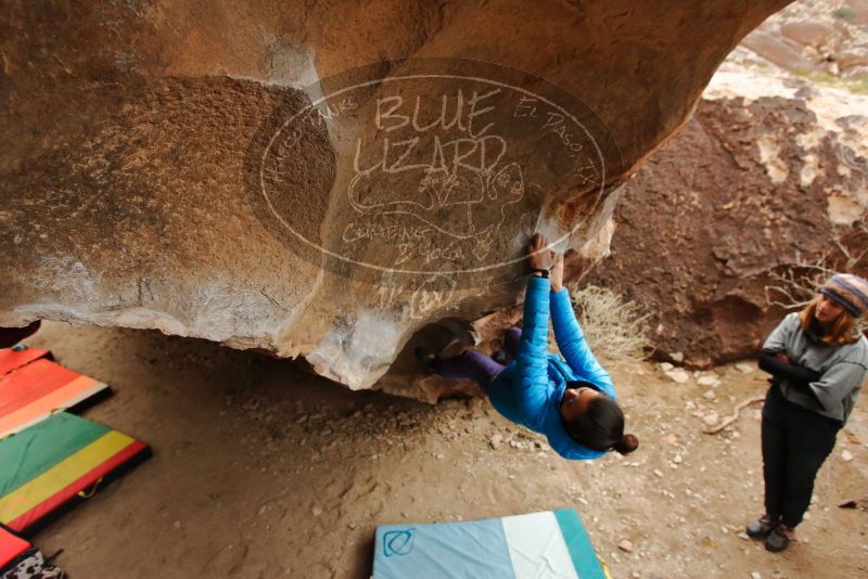 Bouldering in Hueco Tanks on 01/02/2020 with Blue Lizard Climbing and Yoga
Filename: SRM_20200102_1442160.jpg
Aperture: f/4.0
Shutter Speed: 1/250
Body: Canon EOS-1D Mark II
Lens: Canon EF 16-35mm f/2.8 L