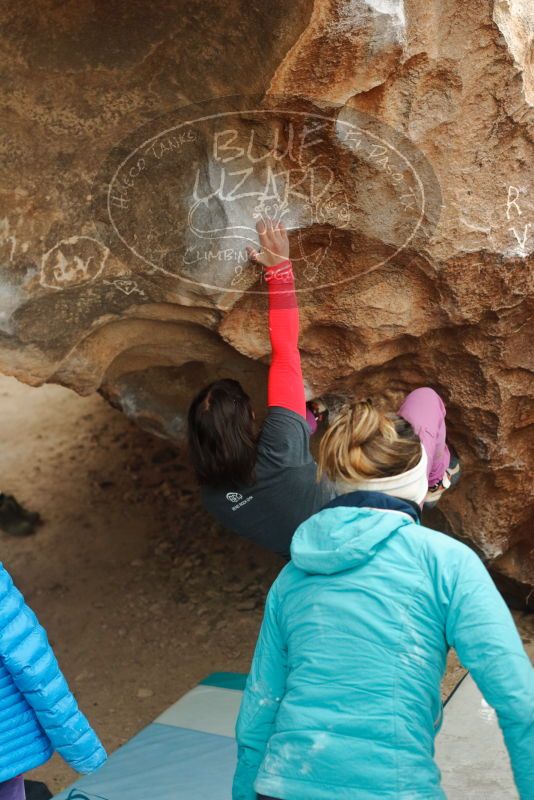 Bouldering in Hueco Tanks on 01/02/2020 with Blue Lizard Climbing and Yoga

Filename: SRM_20200102_1511070.jpg
Aperture: f/3.5
Shutter Speed: 1/250
Body: Canon EOS-1D Mark II
Lens: Canon EF 50mm f/1.8 II