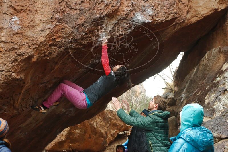 Bouldering in Hueco Tanks on 01/02/2020 with Blue Lizard Climbing and Yoga
Filename: SRM_20200102_1608220.jpg
Aperture: f/4.5
Shutter Speed: 1/250
Body: Canon EOS-1D Mark II
Lens: Canon EF 50mm f/1.8 II