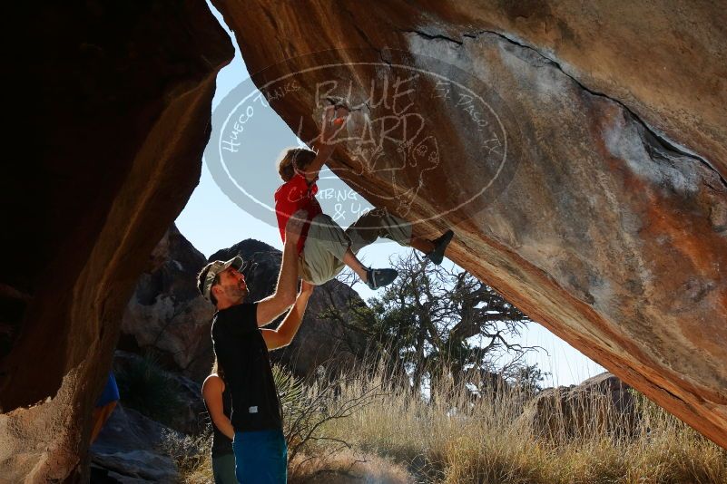 Bouldering in Hueco Tanks on 01/05/2020 with Blue Lizard Climbing and Yoga

Filename: SRM_20200105_1159540.jpg
Aperture: f/8.0
Shutter Speed: 1/250
Body: Canon EOS-1D Mark II
Lens: Canon EF 16-35mm f/2.8 L